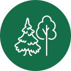 tree icon