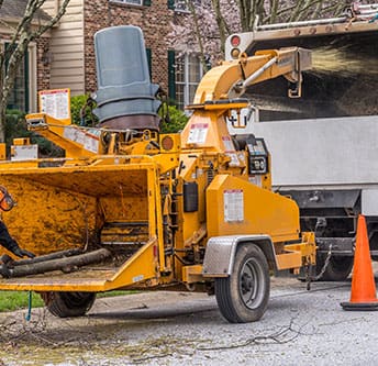 Arobrist throws a branch of wood into the wood chopper as the wood is shredded into small pieces